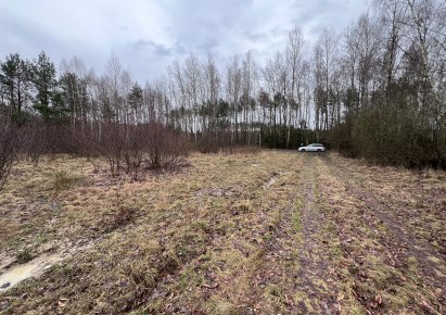 działka na sprzedaż - Dłutów, Huta Dłutowska